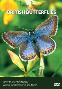 Patrick Barkham's Guide to British Butterflies 