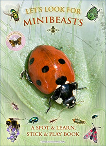 Let's Look for Minibeasts 