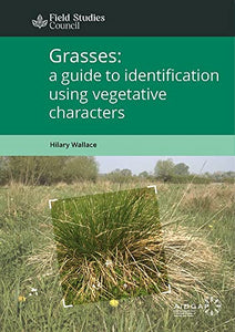 Grasses: a guide to identification using vegetative characters 