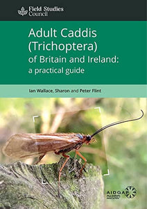 Adult Caddis (Trichoptera) of Britain and Ireland: a practical guide 