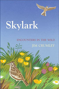 Skylark 