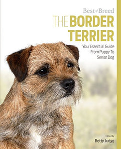 Border Terrier Best of Breed 