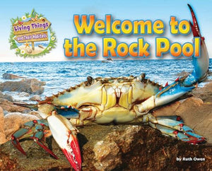 Welcome to the Rock Pool 