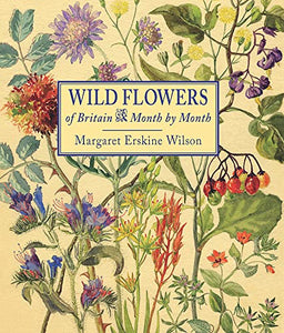 Wild Flowers of Britain 