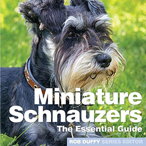 Miniture Schnauzers 