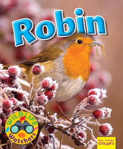 Wildlife Watchers: Robin 