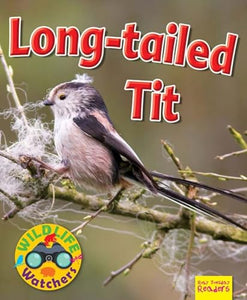 Wildlife Watchers: Long-tailed tit 