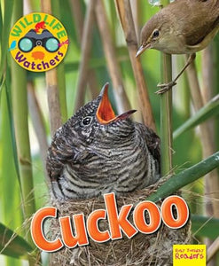 Wildlife Watchers: Cuckoo 