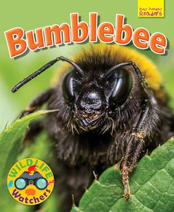 Wildlife Watchers: Bumblebee 