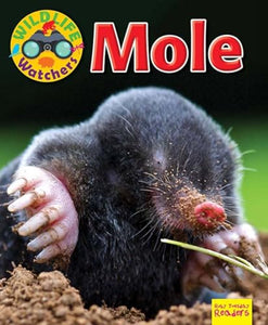 Wildlife Watchers: Mole 