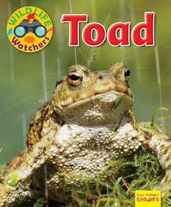 Wildlife Watchers: Toad 