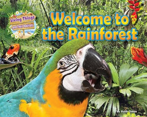 Welcome to the Rainforest 