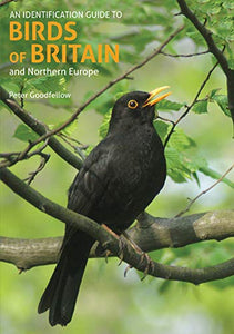 An Identification Guide to Birds of Britain and Northern Europe (2nd edition) 