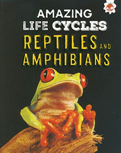 Reptiles and Amphibians - Amazing Life Cycles 