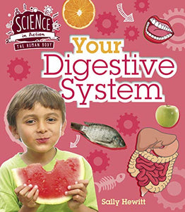 Human Body: Your Digestive System 