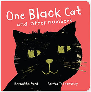 One Black Cat and Other Numbers 