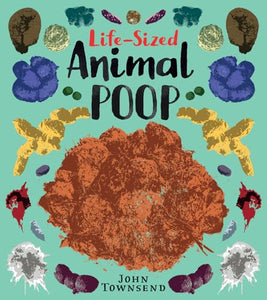 Life-Sized Animal Poop 