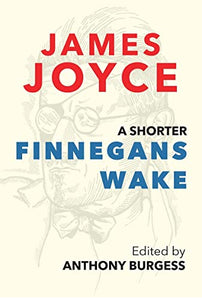 A Shorter Finnegans Wake 