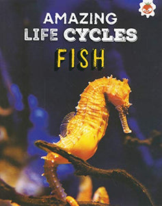 Amazing Life Cycles- Fish 