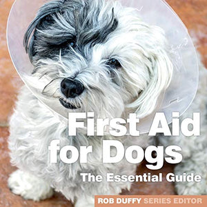 First Aid for Dogs 