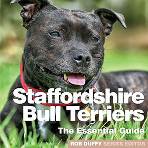 Staffordshire Bull Terriers 