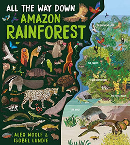 All The Way Down: Amazon Rainforest 