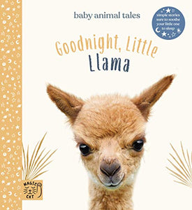 Goodnight Little Llama 