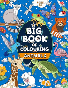 Big Book of Colouring 