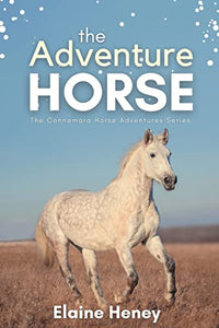 The Adventure Horse 