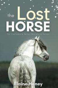 The Lost Horse 