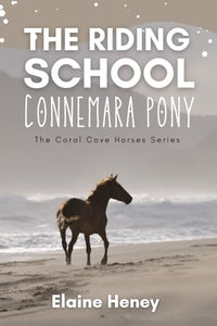 The Riding School Connemara Pony 