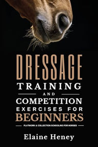 Dressage training and competition exercises for beginners 