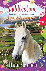 Saddlestone Connemara Pony Listening School | Sinead and Strawberry 