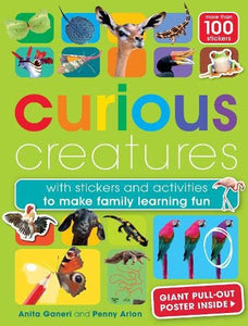 Curious Creatures 