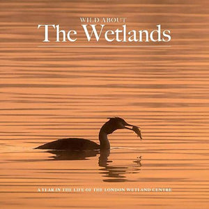 Wild about The Wetlands 