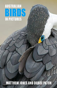 Australian Birds in Pictures 