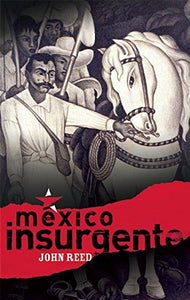 Mexico Insurgente 