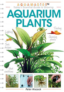 Aquarium Plants 