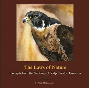 The Laws of Nature 