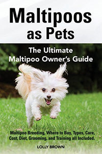 Maltipoos as Pets 