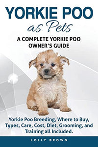 Yorkie Poo as Pets 