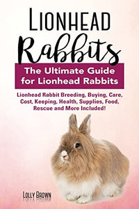 Lionhead Rabbits 