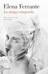 La amiga estupenda (Dos amigas 1) / My Brilliant Friend: Neapolitan Novels, Book  One 