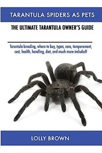 Tarantula Spiders As Pets 