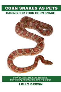 Corn Snakes as Pets 