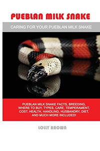 Pueblan Milk Snake 