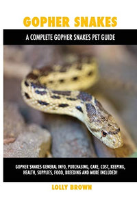 Gopher Snakes 