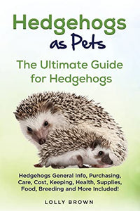 Hedgehogs as Pets 