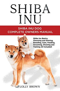 Shiba Inu 