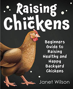 Raising Chickens 